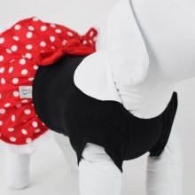 roupa para cachorro